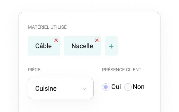 Cadulis interface for customizable data entry forms